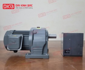 Motor Giảm Tốc Chân Đế Wanshsin GH18-100W-10S