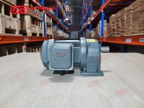 Motor Giảm Tốc Chân Đế Wanshsin GH22-100W-100S