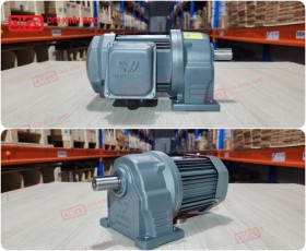 Motor Giảm Tốc Chân Đế Wanshsin GH22-100W-60S