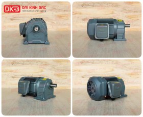 Motor Giảm Tốc Chân Đế Wanshsin GH22-400W-10S