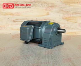 Motor Giảm Tốc Chân Đế Wanshsin GH22-400W-3S