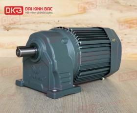 MOTOR GIẢM TỐC CHÂN ĐẾ WANSHSIN GH22-750W-3S