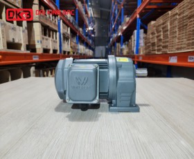 MOTOR GIẢM TỐC CHÂN ĐẾ WANSHSIN GH28-200W-150S