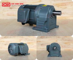 Motor Giảm Tốc Chân Đế Wanshsin GH28-400W-70S