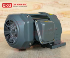 MOTOR GIẢM TỐC CHÂN ĐẾ WANSHSIN GH28-750W-25S