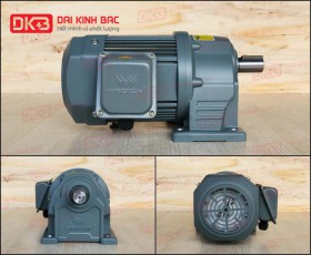 MOTOR GIẢM TỐC CHÂN ĐẾ WANSHSIN GH28-750W-30S