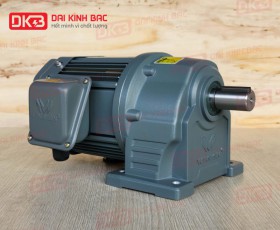 MOTOR GIẢM TỐC CHÂN ĐẾ WANSHSIN GH28-750W-3S