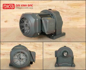 MOTOR GIẢM TỐC CHÂN ĐẾ WANSHSIN GH32-750W-100S