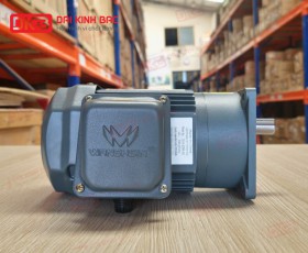 MOTOR GIẢM TỐC MẶT BÍCH WANSHSIN GV18-200W-3S