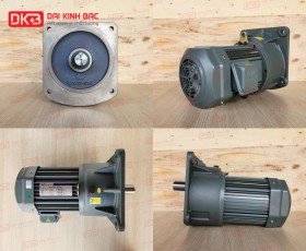 MOTOR GIẢM TỐC MẶT BÍCH WANSHSIN GV32-2200W-3S