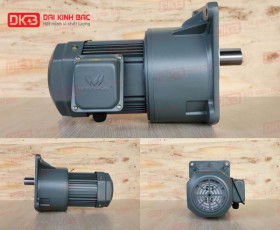 MOTOR GIẢM TỐC MẶT BÍCH WANSHSIN GV32-750W-100S