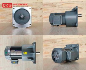 MOTOR GIẢM TỐC MẶT BÍCH WANSHSIN GV32-750W-120S