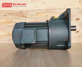 MOTOR GIẢM TỐC MẶT BÍCH WANSHSIN GV40-2200W-10S