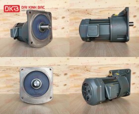 MOTOR GIẢM TỐC MẶT BÍCH WANSHSIN GV40-2200W-50S