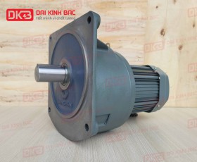 MOTOR GIẢM TỐC MẶT BÍCH WANSHSIN GV40-3700W-10S
