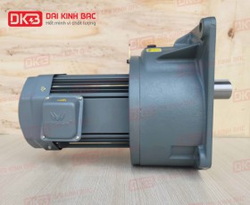 MOTOR GIẢM TỐC MẶT BÍCH WANSHSIN GV40-3700W-3S