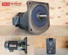 Motor Giảm Tốc Mặt Bích Wanshsin GV50-2200W-100S