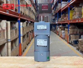 Motor giảm tốc mini trục thẳng