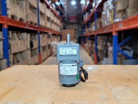 MOTOR GIẢM TỐC MINI WANSHSIN 15W 70YT15WGV22 + 70GK-3-H + WS-P 15W