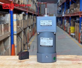 MOTOR GIẢM TỐC MINI WANSHSIN 120W 90YS120WGV22 + 90GF-120-H