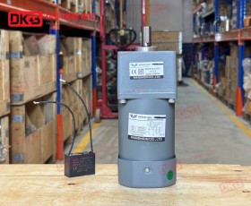 MOTOR GIẢM TỐC MINI WANSHSIN 120W 90YS120WGV22 + 90GF-12.5-H