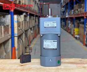 MOTOR GIẢM TỐC MINI WANSHSIN 120W 90YS120WGV22 + 90GF-180-H