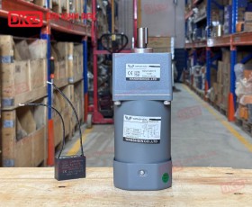 MOTOR GIẢM TỐC MINI WANSHSIN 120W 90YS120WGV22 + 90GF-40-H