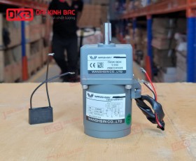 MOTOR GIẢM TỐC MINI WANSHSIN 15W 70YS15WGV22 + 70GK-180-H