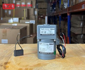 MOTOR GIẢM TỐC MINI WANSHSIN 15W 70YS15WGV22 + 70GK-5-H