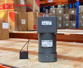 MOTOR GIẢM TỐC MINI WANSHSIN 180W 100YS180WGV22 + 100GF-3-H
