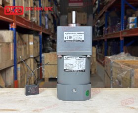 MOTOR GIẢM TỐC MINI WANSHSIN 40W 90YS40WGV22 + 90GF-12.5-H