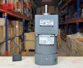 MOTOR GIẢM TỐC MINI WANSHSIN 40W 90YS40WGV22 + 90GF-15-H