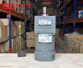 MOTOR GIẢM TỐC MINI WANSHSIN 40W 90YS40WGV22 + 90GF-20-H