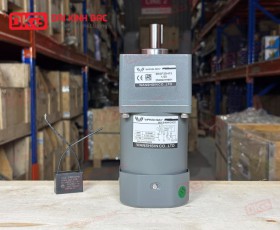 MOTOR GIẢM TỐC MINI WANSHSIN 40W 90YS40WGV22 + 90GF-25-H