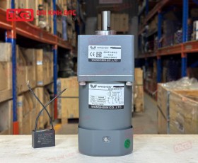 MOTOR GIẢM TỐC MINI WANSHSIN 40W 90YS40WGV22 + 90GF-3.6-H