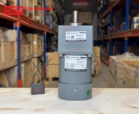 MOTOR GIẢM TỐC MINI WANSHSIN 40W 90YS40WGV22 + 90GF-3-H