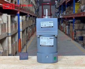 MOTOR GIẢM TỐC MINI WANSHSIN 60W 90YS60WGV22 + 90GF-120-H