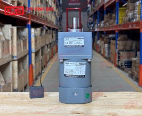 MOTOR GIẢM TỐC MINI WANSHSIN 60W 90YS60WGV22 + 90GF-12.5-H