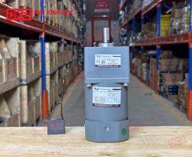MOTOR GIẢM TỐC MINI WANSHSIN 60W 90YS60WGV22 + 90GF-200-H