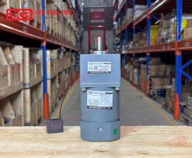 MOTOR GIẢM TỐC MINI WANSHSIN 60W 90YS60WGV22 + 90GF-3.6-H