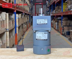 MOTOR GIẢM TỐC MINI WANSHSIN 60W 90YS60WGV22 + 90GF-40-H