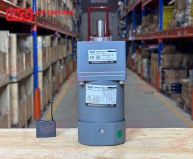 MOTOR GIẢM TỐC MINI WANSHSIN 60W 90YS60WGV22 + 90GF-50-H