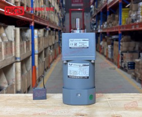 MOTOR GIẢM TỐC MINI WANSHSIN 60W 90YS60WGV22 + 90GF-60-H