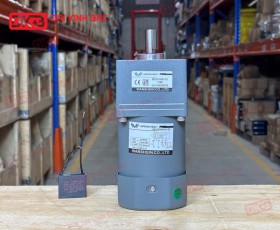 MOTOR GIẢM TỐC MINI WANSHSIN 60W 90YS60WGV22 + 90GF-90-H