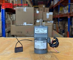 MOTOR GIẢM TỐC MINI WANSHSIN 6W 60YS06WGV22 + 60GK-10-H