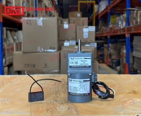 MOTOR GIẢM TỐC MINI WANSHSIN 6W 60YS06WGV22 + 60GK-5-H