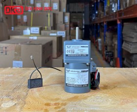 MOTOR GIẢM TỐC MINI WANSHSIN 6W 60YS06WGV22 + 60GK-60-H