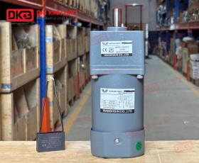 MOTOR GIẢM TỐC MINI WANSHSIN 90W 90YS90WGV22 + 90GF-100-H