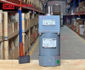 MOTOR GIẢM TỐC MINI WANSHSIN 90W 90YS90WGV22 + 90GF-120-H