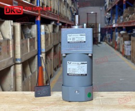 MOTOR GIẢM TỐC MINI WANSHSIN 90W 90YS90WGV22 + 90GF-12.5-H